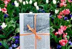 Książka prezent w ekologicznym opakowaniu na tle tulipanów